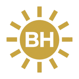 Logo BronzHub