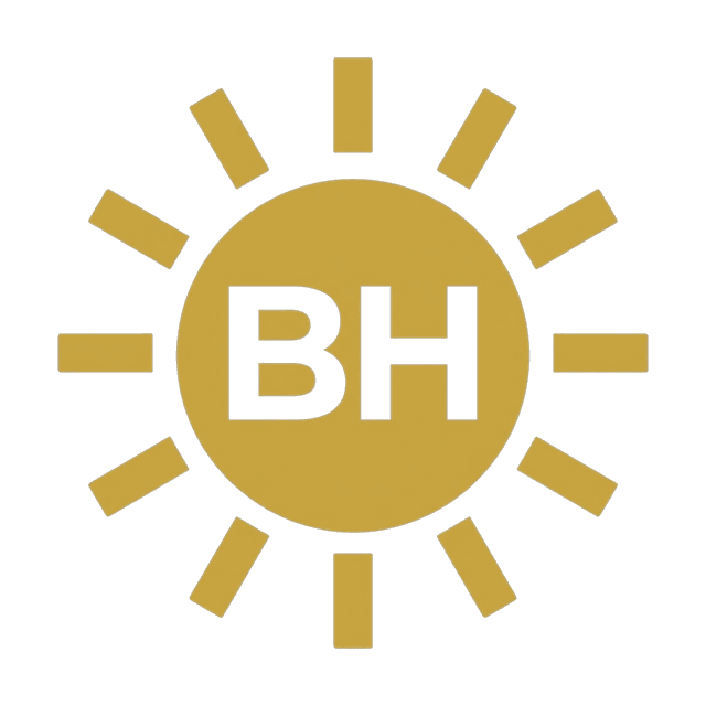 Logo BronzHub